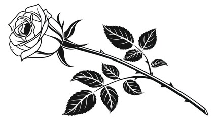 Black and White Rose Illustration of a Branch with Detailed Leaves