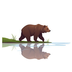 Obraz premium Bear Walking Peacefully by the River, Reflected in Water