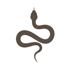 Fototapeta premium Snake Coiled in a Minimal Shape on the Ground