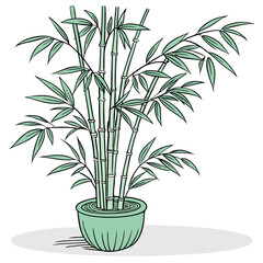 bamboo plant in pot