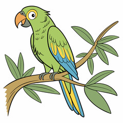 vector illustration of a parrot
