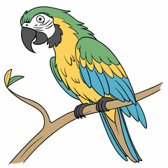 vector illustration of a parrot
