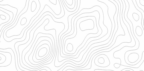 White topography topology vector white background fresh contour map texture. white seamless pattern Abstract background with a wave Topography and geography map grid abstract backdrop.
