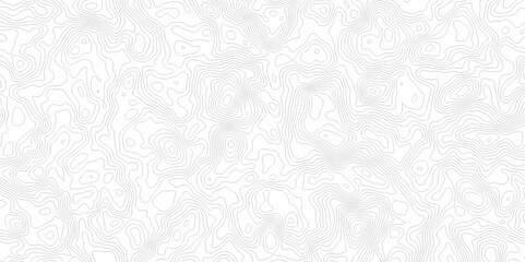 White topography topology vector white background fresh contour map texture. white seamless pattern Abstract background with a wave Topography and geography map grid abstract backdrop.