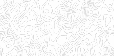 White topography topology vector white background fresh contour map texture. white seamless pattern Abstract background with a wave Topography and geography map grid abstract backdrop.