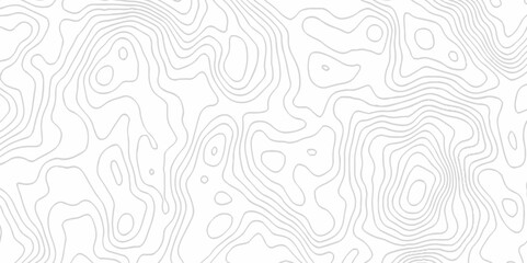 White topography topology vector white background fresh contour map texture. white seamless pattern Abstract background with a wave Topography and geography map grid abstract backdrop.