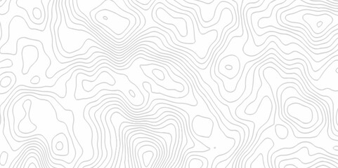 White topography topology vector white background fresh contour map texture. white seamless pattern Abstract background with a wave Topography and geography map grid abstract backdrop.