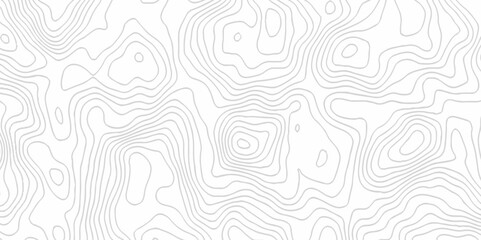 Fototapeta premium White topography topology vector white background fresh contour map texture. white seamless pattern Abstract background with a wave Topography and geography map grid abstract backdrop.