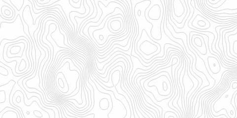 White topography topology vector white background fresh contour map texture. white seamless pattern Abstract background with a wave Topography and geography map grid abstract backdrop.