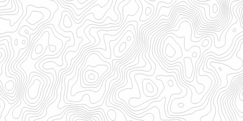 White topography topology vector white background fresh contour map texture. white seamless pattern Abstract background with a wave Topography and geography map grid abstract backdrop.