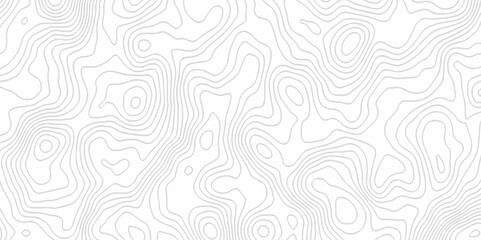 White topography topology vector white background fresh contour map texture. white seamless pattern Abstract background with a wave Topography and geography map grid abstract backdrop.