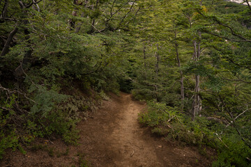 Outdoor activities. View of the empty hiking path across the forest and hill