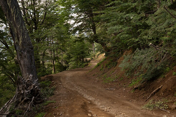 Naklejka premium Outdoor activities. View of the empty dirt road across the forest and hill