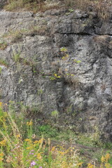 old stone wall
