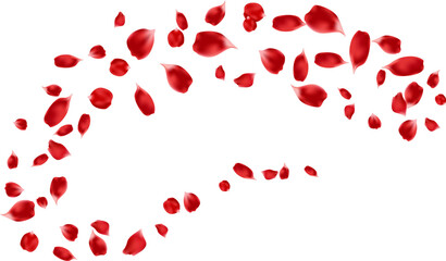 Red rose petals flying element decoration freshening in nature background. botanical vector