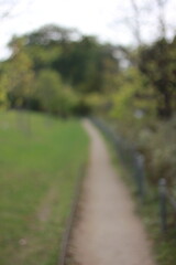 A dreamy view of a stone path in the park.