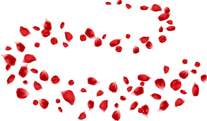 Beautiful rose petals flying floating decoration freshening ecology illustration. Aroma, spa