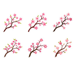 Fototapeta premium branch tree vector illustration summer clipart autumn clipart nature forest, Background cherry blossom spring flower Japan, Branch of blooming sakura with flowers, cherry blossom