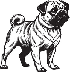 set of dogs and pug with bow tie vector illustration of cartoon dog