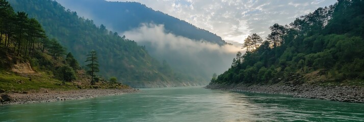 A river with a cloudy sky in the background. The water is calm and the trees are in the foreground