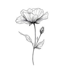 Obraz premium Hand Drawn Flower Illustration Elegant Floral Artistic Botanical Sketch Design