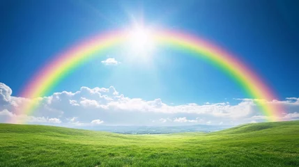 Sunny rainbow over green field, idyllic landscape © musa