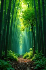 Obraz premium Bamboo forest with a solitary tree in the foreground, calmness, solitude, plant life