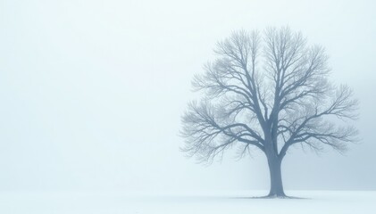Obraz premium Bare branch of a tree against white foggy background, white fog, icy