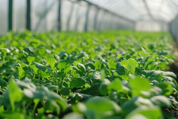 High-Tech Farming Using AI for Pest Detection and Growth