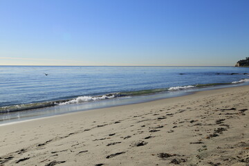 Scenic Beach View Along California's Highway 1