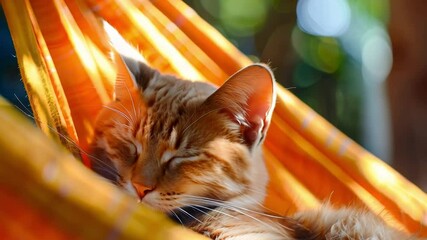 Relaxed orange cat napping in vibrant outdoor hammock on a sunny day