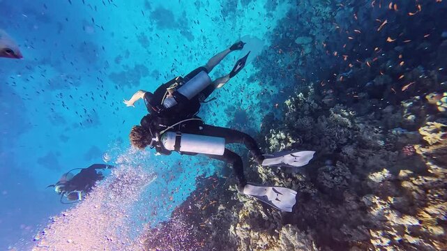 Group of scuba divers swimming between corals at coral reef. Diving instructor and group students in underwater exercise. Instructor teaches students. Underwater scuba diving education and training.