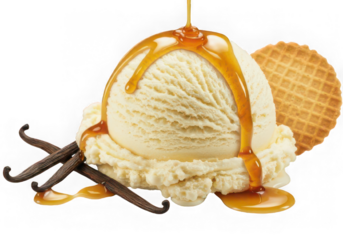 Vanilla Ice Cream with Caramel Drizzle