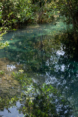 Transparent green and blue stream the tree roots and rocks under the water. Thapom Klong Song Nam in Krabi, Thailand