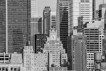 New York Portraits