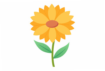 sunflower isolated on white