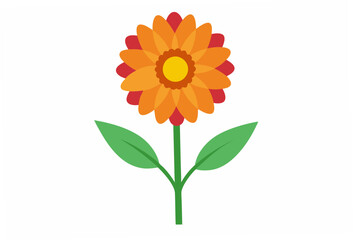 sunflower isolated on white background