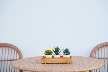 Minimalist table with a small potted cactus.