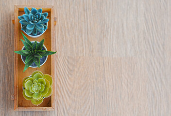 Minimalist white wooden pot on a wooden tray.