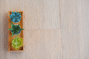 Minimalist white wooden pot on a wooden tray.