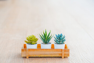 Minimalist white wooden pot on a wooden tray.