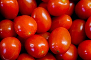 red tomatoes background