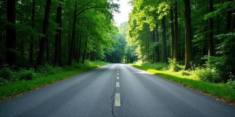 Asphalt road disappearing into a vibrant green forest canopy, sunlight filtering through the leaves, creating a picturesque and serene natural landscape