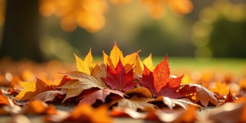 Autumnal foliage splendor a vibrant collection of red and gold leaves scattered on the ground, bathed in the warm glow of sunlight.