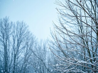 Softly falling snow with delicate flakes and bare trees, bare trees, calming scene, natural beauty
