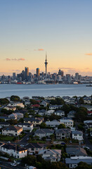 Obraz premium Auckland Sunset: Cityscape View of Skyline, Harbor, & Homes in Stunning Light | New Zealand Travel Photography