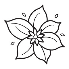 black and white lily