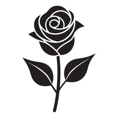 rose vector illustration