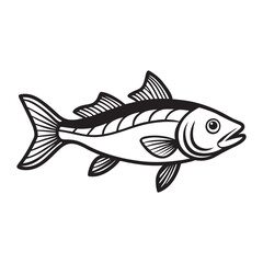 fish on a white background