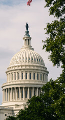 Obraz premium ** US Capitol Dome Majesty: Washington DC Landmark, Architecture, American Flag, and Trees